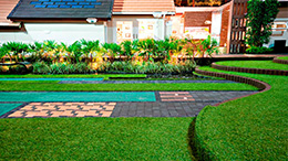 亞洲（中國以外）案例