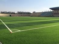 石嘴山市體育場