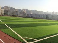 西北師范大學知行學院