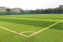 內(nèi)蒙古科技大學(xué)場地二