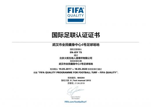 武漢全民健身中心足球場4號